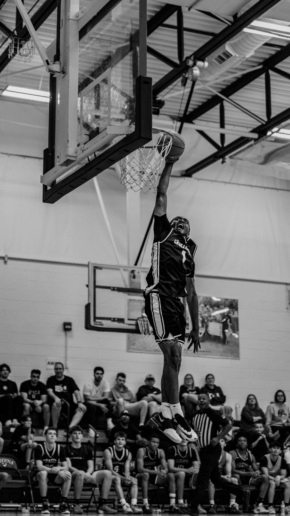 Basketball 8