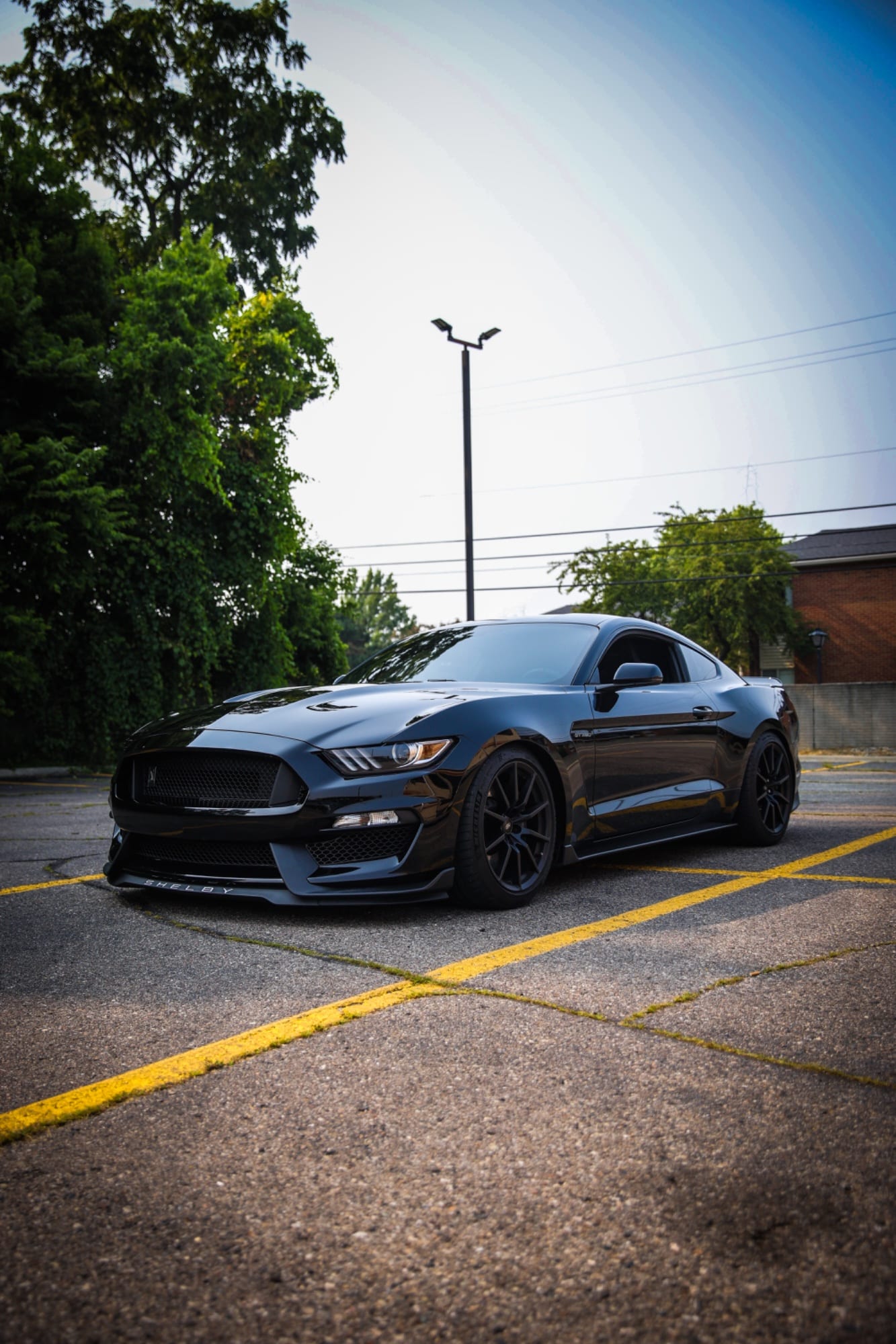 Cars 10
