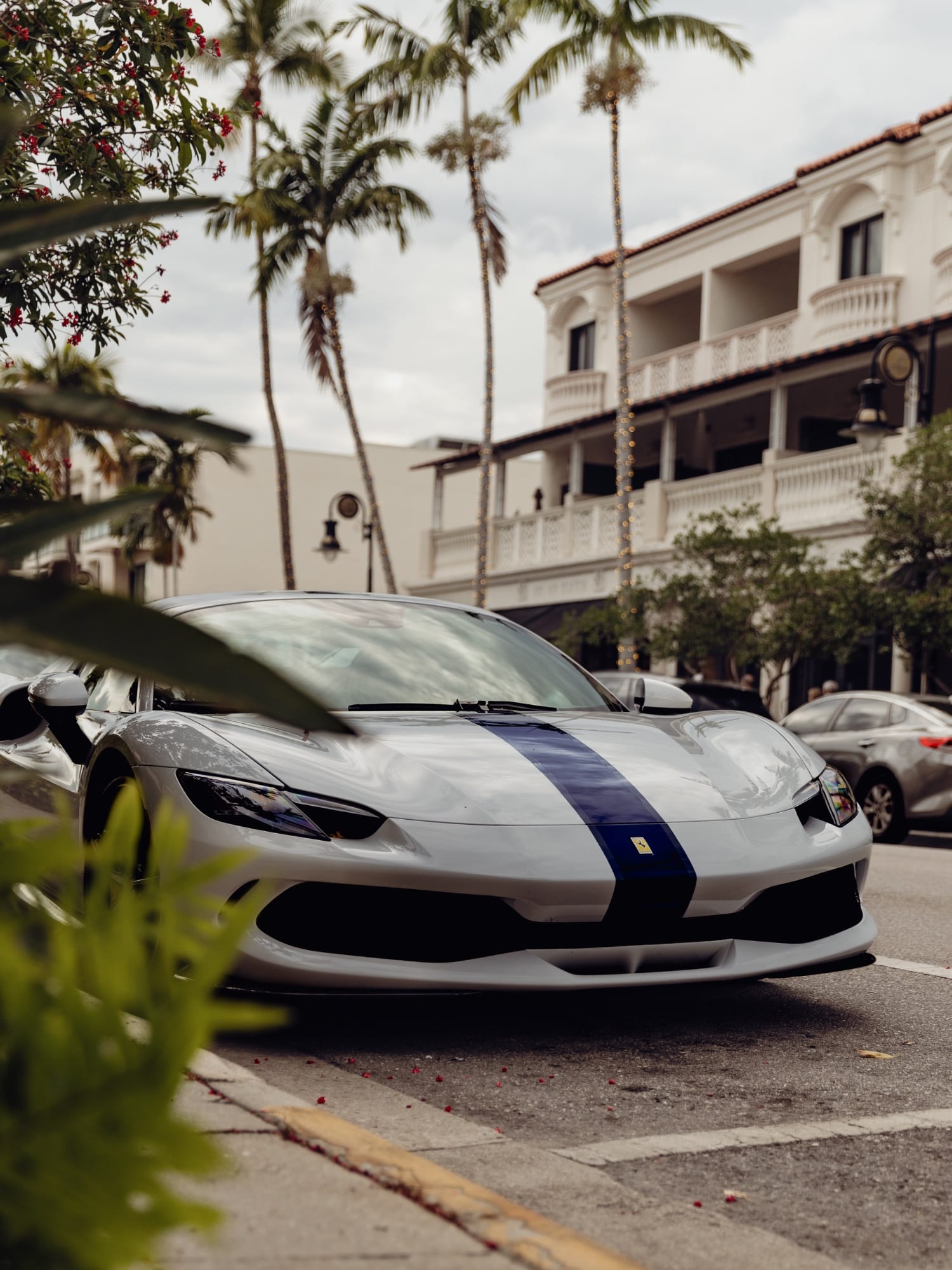 Cars 17