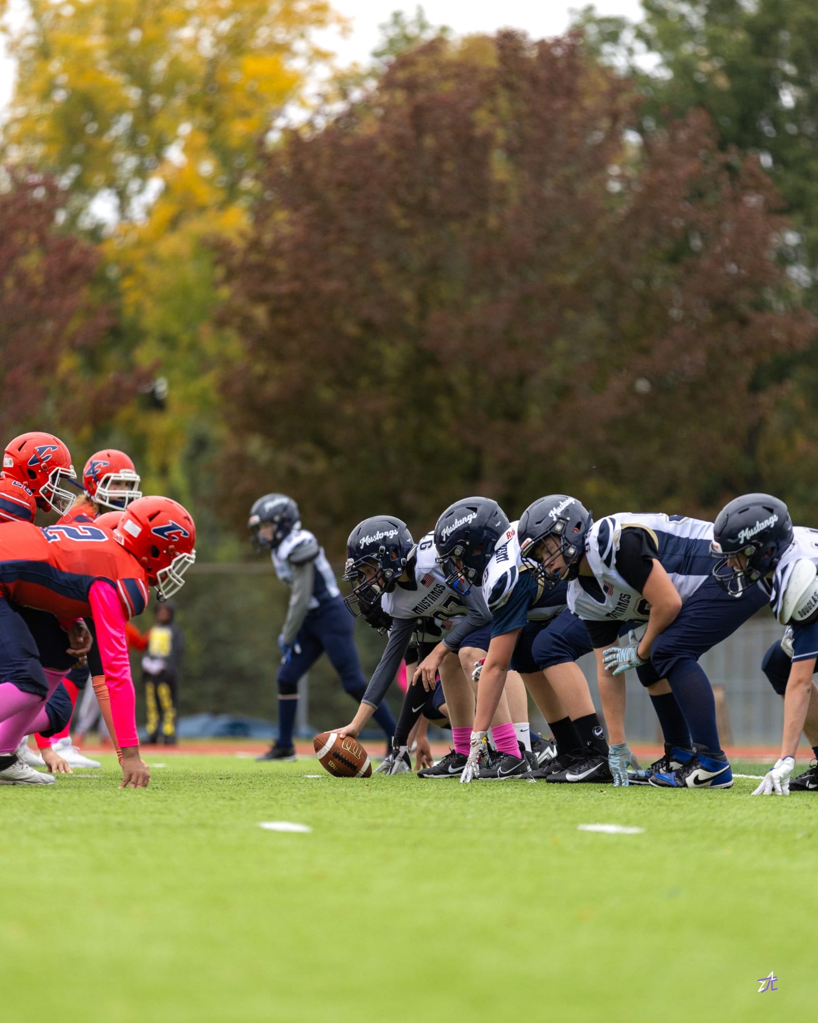 Football 13