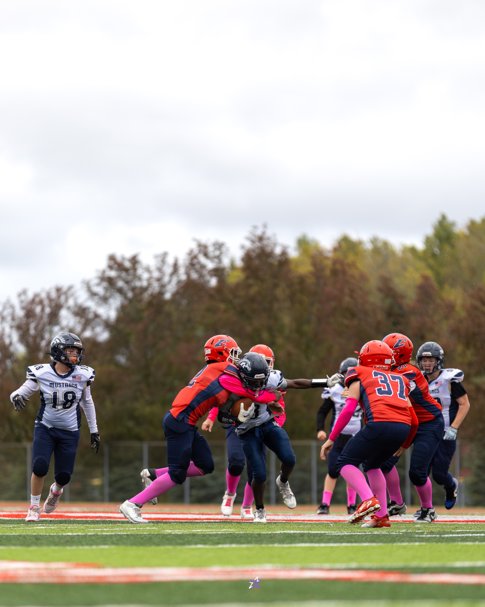 Football 19