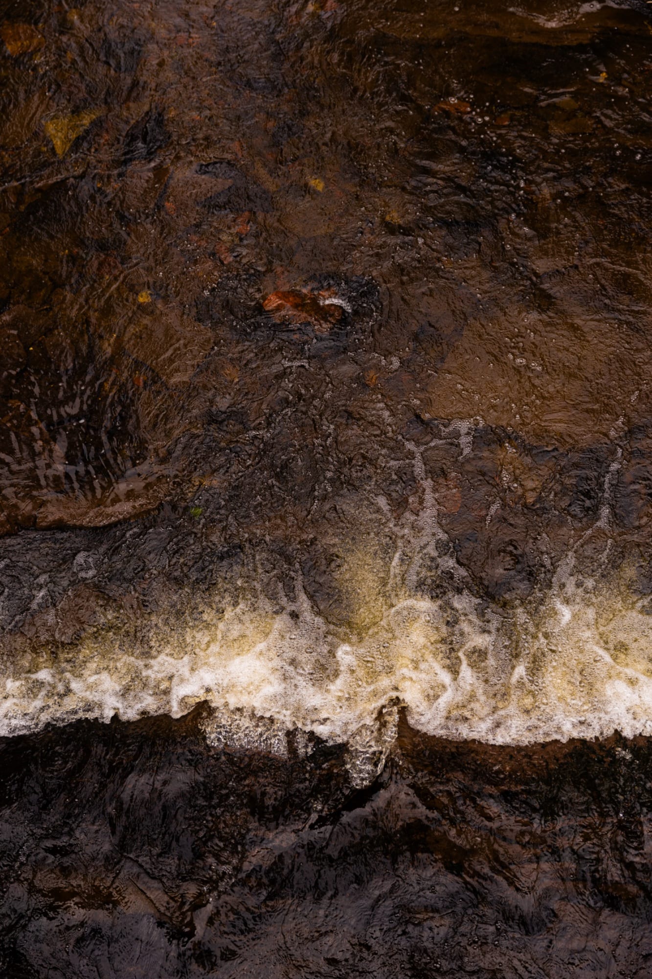 Landscape 16