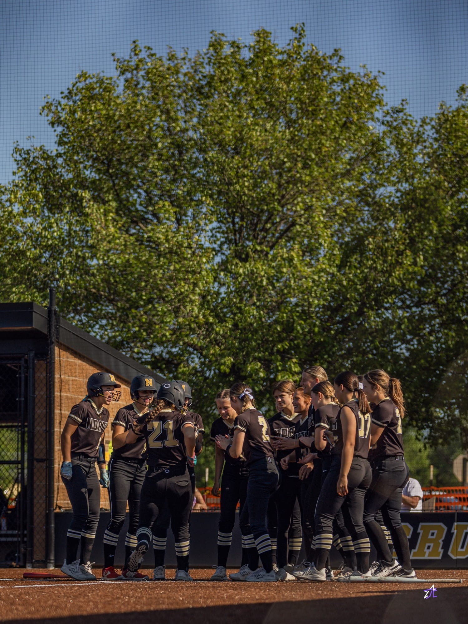 Softball 3